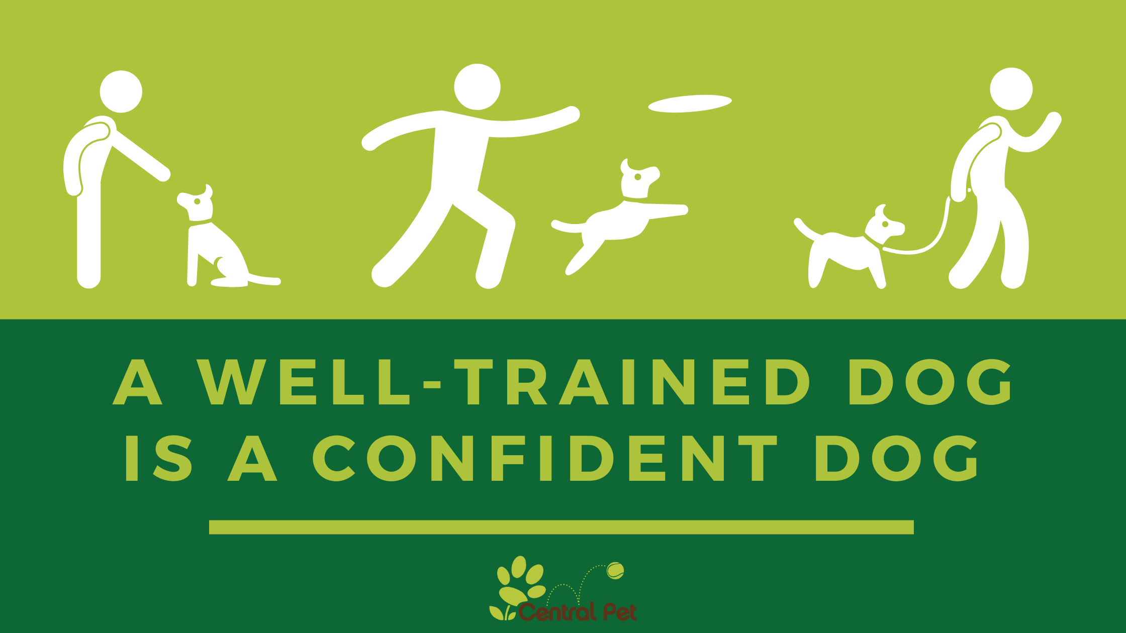 a-well-trained-dog-is-a-confident-dog